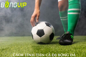 cach-tinh-tien-ca-do-bong-da