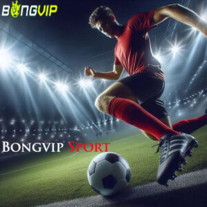 gioi-thieu-bongvip-sport