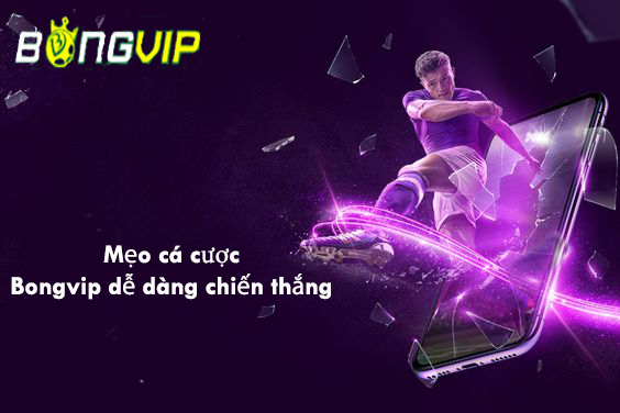 meo-ca-cuoc-bongvip-sport