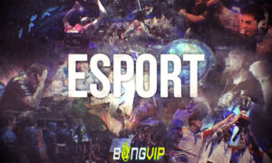 cach-ca-cuoc-esport-bongvip